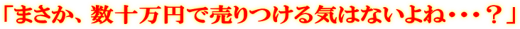 「まさか、数十万円で売りつける気はないよね・・・?」
