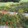 高崎市音楽センター 高崎市音楽センター